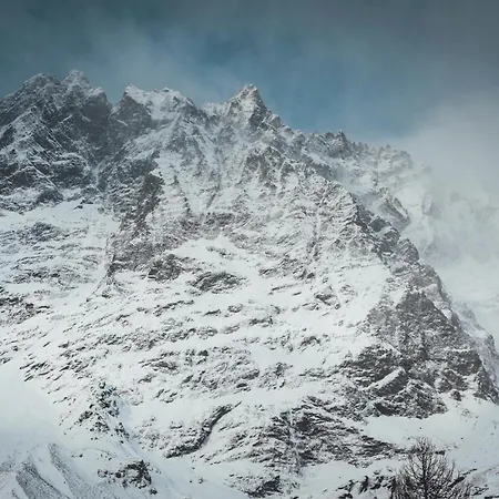 Maison Cleo Elegant 아파트