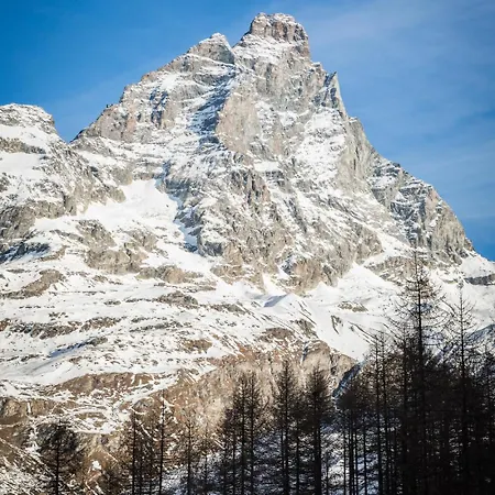 Maison Cleo Elegant * 브루일서비니아