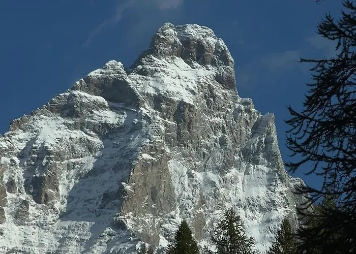 Lejlighed Maison Cleo Elegant *